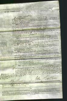 Court of Common Pleas - Fanny Munn-Original Ancestry