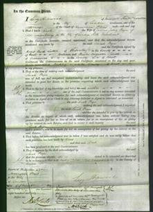 Court of Common Pleas - Sarah Payn-Original Ancestry
