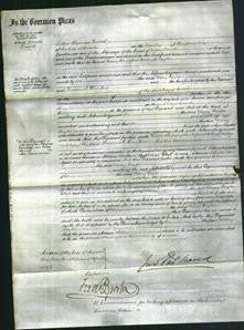 Court of Common Pleas - Mary Taylor-Original Ancestry