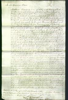 Court of Common Pleas - Hannah Rickard-Original Ancestry