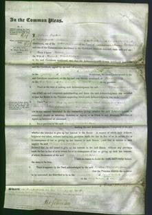 Court of Common Pleas - Ann Middleton-Original Ancestry