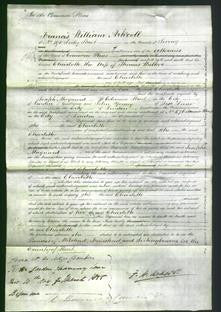 Court of Common Pleas - Charlotte Walker-Original Ancestry