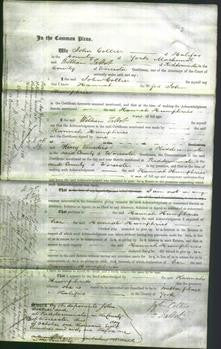 Court of Common Pleas - Hannah Humphries-Original Ancestry