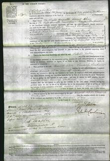 Court of Common Pleas - Harriet Alice Borthwick-Original Ancestry