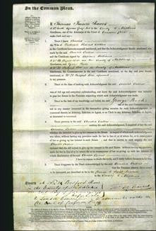 Court of Common Pleas - Amelia Callow-Original Ancestry
