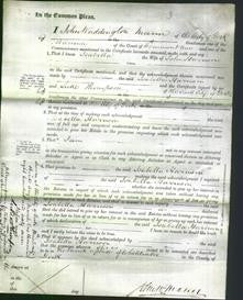 Court of Common Pleas - Isabella Harrison-Original Ancestry