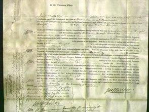 Court of Common Pleas - Catherine Knight-Original Ancestry