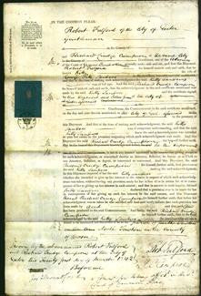 Court of Common Pleas - Kitty Sanders-Original Ancestry