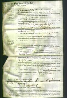 Court of Common Pleas - Margaret Newton-Original Ancestry