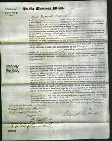 Court of Common Pleas - Mary Anne Roberts-Original Ancestry