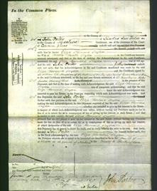 Court of Common Pleas - Eliza Barnard Dryden-Original Ancestry