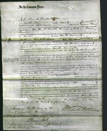 Court of Common Pleas - Martha Yardington Turner-Original Ancestry