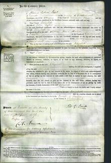 Court of Common Pleas - Elizabeth Ogden-Original Ancestry