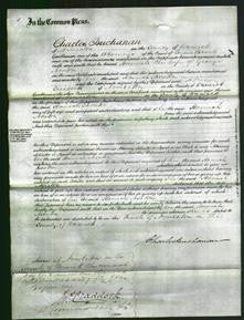 Court of Common Pleas - Hannah Noreton-Original Ancestry