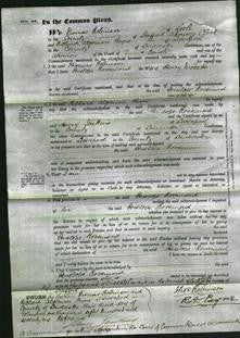 Court of Common Pleas - Penelope Rosamond Mocatta-Original Ancestry