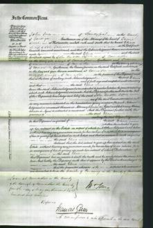 Court of Common Pleas - Elinor Jones-Original Ancestry