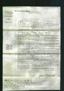 Court of Common Pleas - Mary Elizabeth Burrough-Original Ancestry