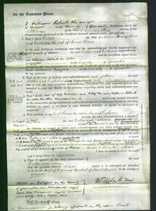 Court of Common Pleas - Esther Morse and Catherine Davis-Original Ancestry