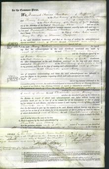 Court of Common Pleas - Charlotte Fisher and Mary Hadfield-Original Ancestry