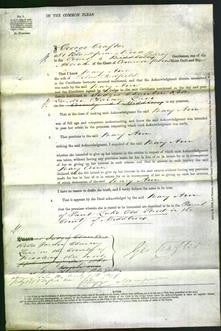 Court of Common Pleas - Mary Ann Padfield-Original Ancestry