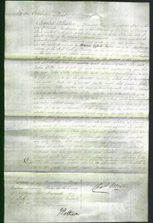 Court of Common Pleas - Esther Tilby-Original Ancestry