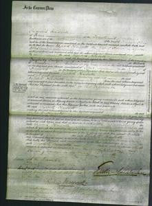 Court of Common Pleas - Elizabeth Charlotte Ellis-Original Ancestry