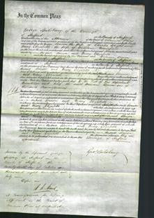 Court of Common Pleas - Louisa Wright and Mary Elizabeth Masefield-Original Ancestry