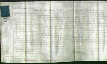 Court of Common Pleas - Mary Gay-Original Ancestry