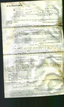 Court of Common Pleas - Mary Porter-Original Ancestry