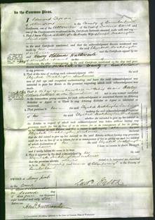 Court of Common Pleas - Elizabeth Pocklington Senhouse-Original Ancestry