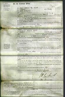 Court of Common Pleas - Ann Sawyer-Original Ancestry