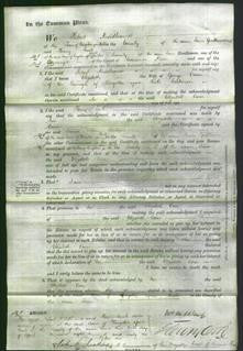 Court of Common Pleas - Elizabeth Omer-Original Ancestry