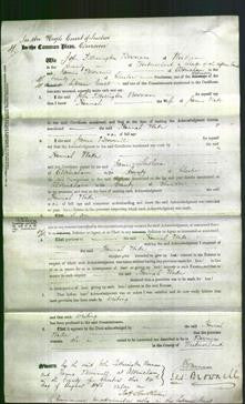 Court of Common Pleas - Hannah Wade-Original Ancestry