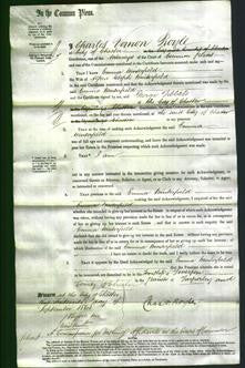 Court of Common Pleas - Emma Winterfield-Original Ancestry