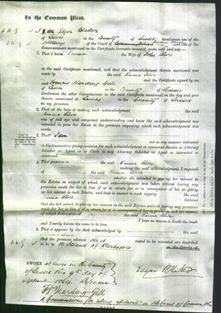 Court of Common Pleas - Emma Olive-Original Ancestry