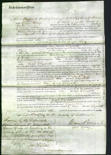 Court of Common Pleas - Elizabeth Andrews-Original Ancestry