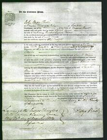 Court of Common Pleas - Sarah Morr-Original Ancestry