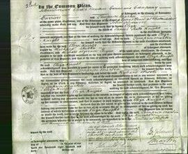 Court of Common Pleas - Eliza Knight-Original Ancestry