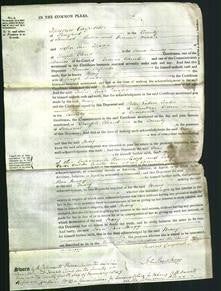 Court of Common Pleas - Mary Weeks-Original Ancestry