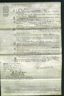 Court of Common Pleas - Fanny Cressey and Emily Morris-Original Ancestry