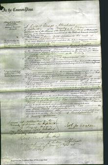 Court of Common Pleas - Ann Field Lipscombe-Original Ancestry