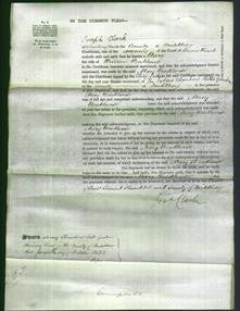 Court of Common Pleas - Mary Woodhouse-Original Ancestry