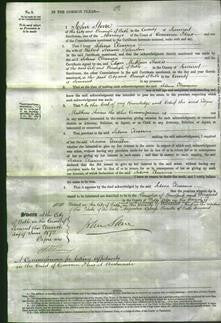 Court of Common Pleas - Selina Eleanora Johnston-Original Ancestry