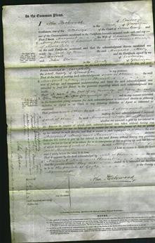 Court of Common Pleas - Margaret Thomas-Original Ancestry