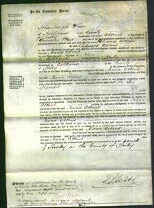 Court of Common Pleas - Maria Atkins-Original Ancestry