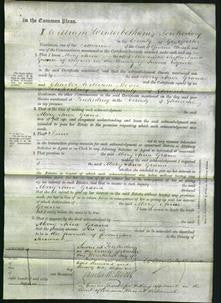 Court of Common Pleas - Mary Anne Grame-Original Ancestry