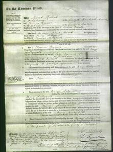 Court of Common Pleas - Mary Hughes Hollywell-Original Ancestry