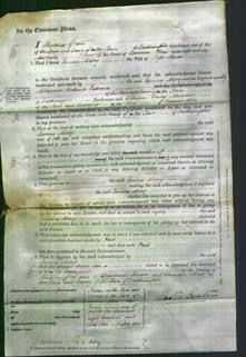 Court of Common Pleas - Emma Mary Stride-Original Ancestry