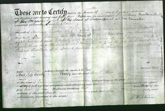 Deed by Married Women - Sarah Morr-Original Ancestry