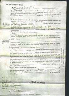 Court of Common Pleas - Ann Kynman-Original Ancestry